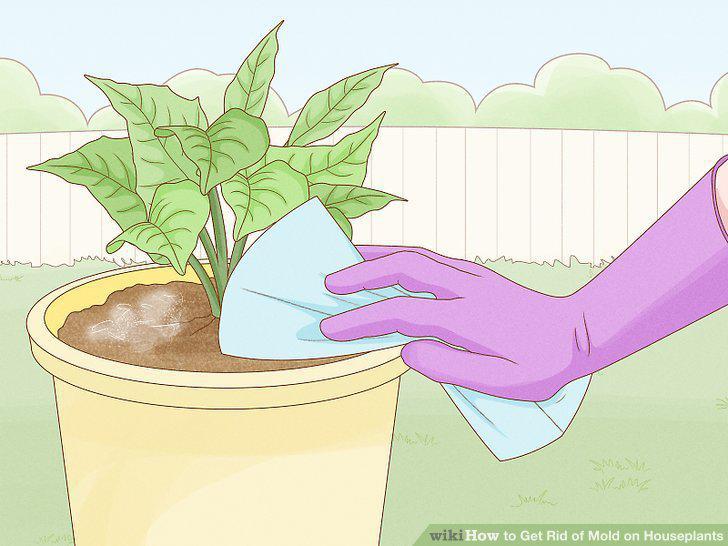 Step 7