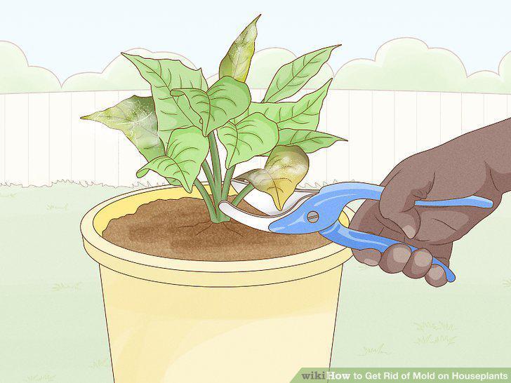 Step 8