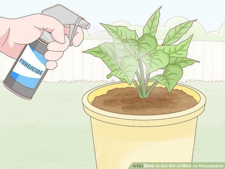 Step 9