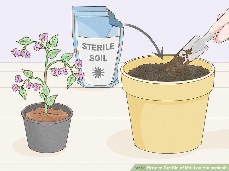 Step 10