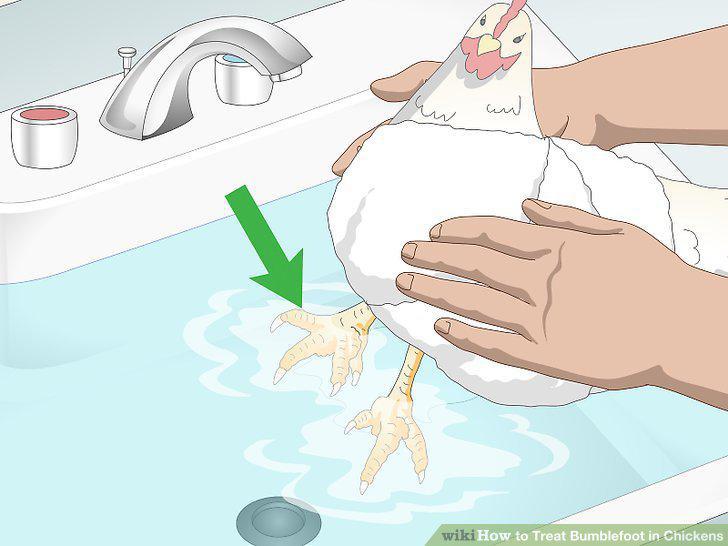 Step 2