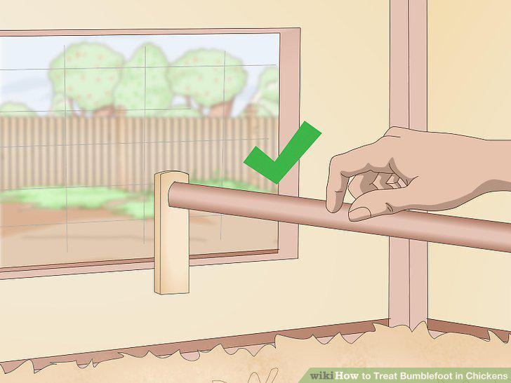 Step 11