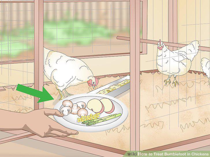 Step 12