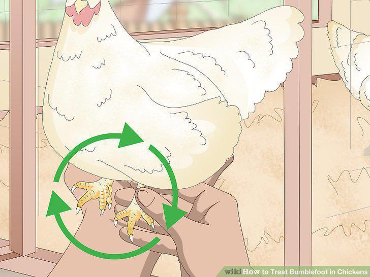 Step 13