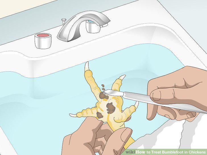 Step 3