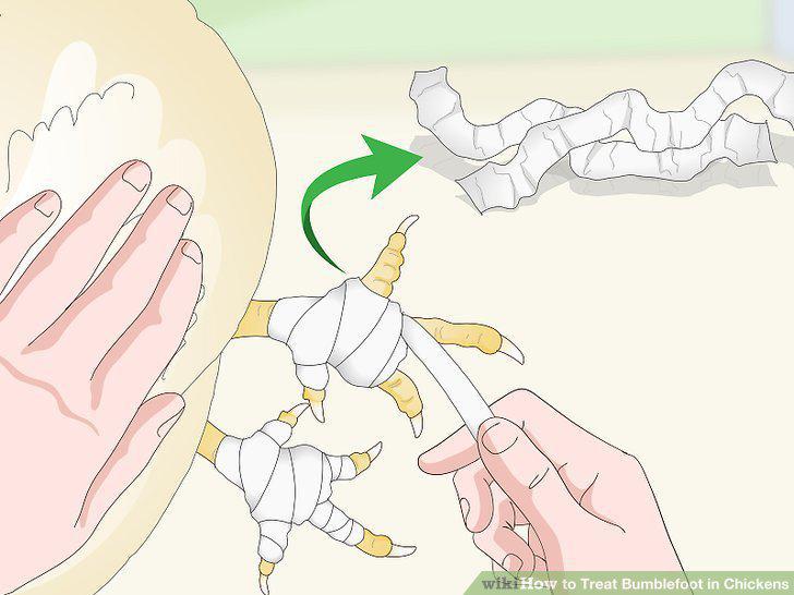 Step 8