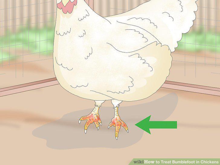 Step 9
