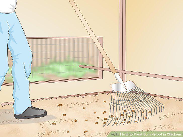 Step 10
