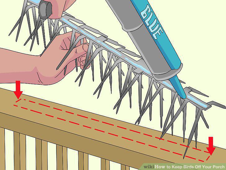 Step 8