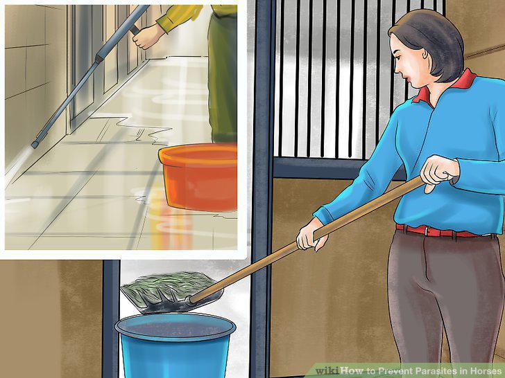 Step 11