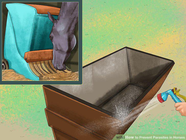Step 12