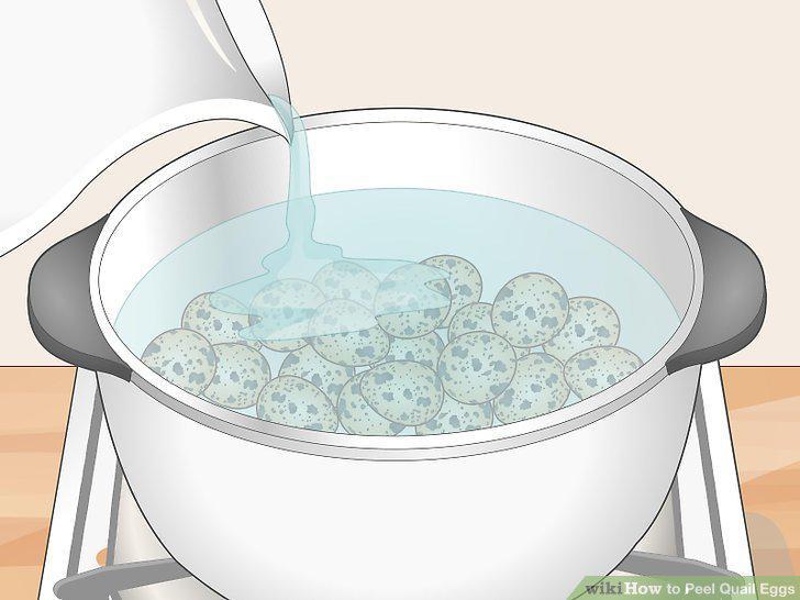 Step 11