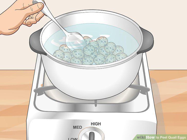 Step 12