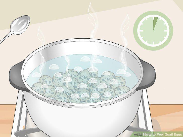 Step 13