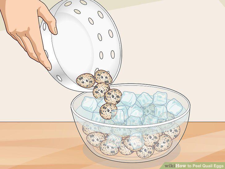 Step 14