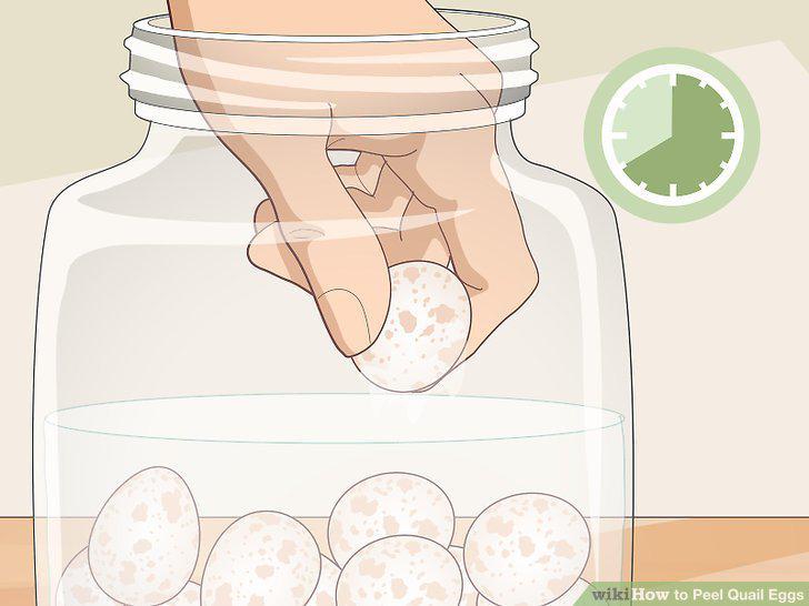 Step 8