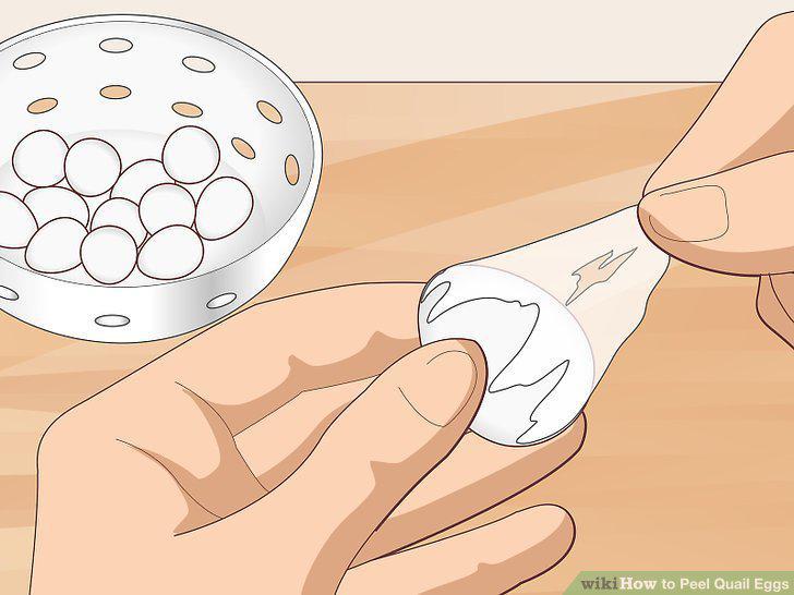 Step 10