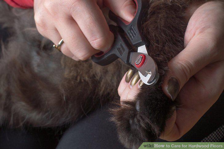 Step 12