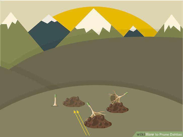 Step 11