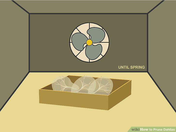 Step 16