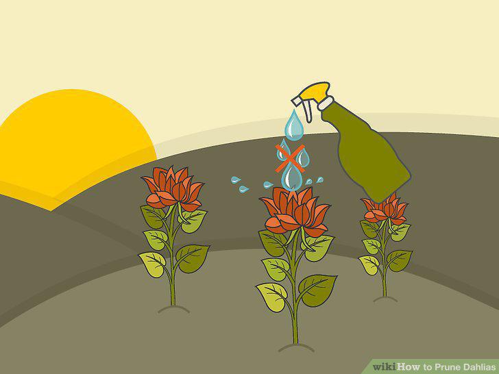 Step 10
