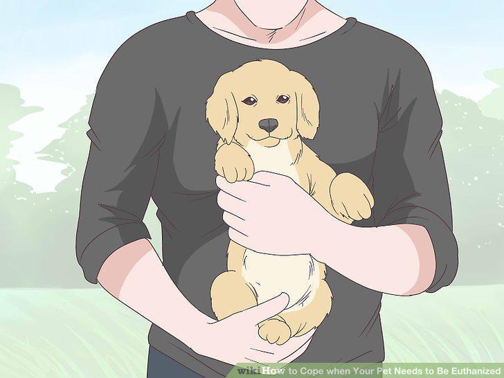 Step 18