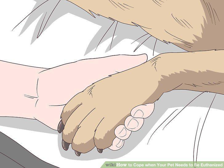 Step 5