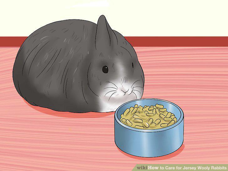 Step 11