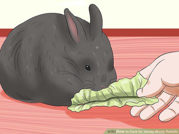 Step 12