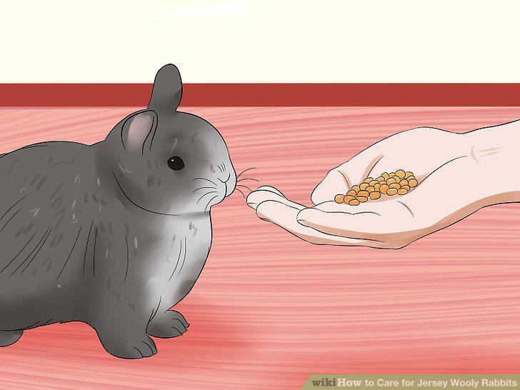 Step 13
