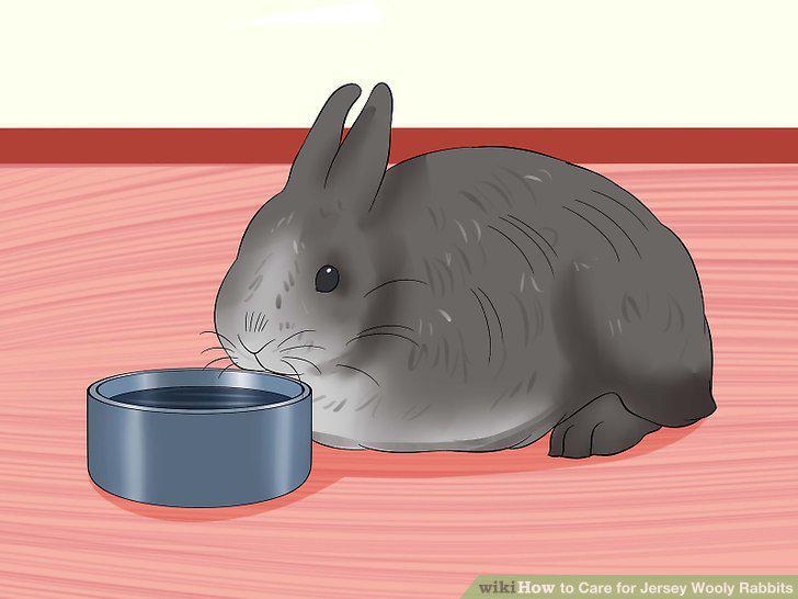 Step 14