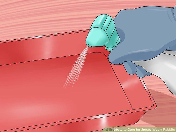 Step 15