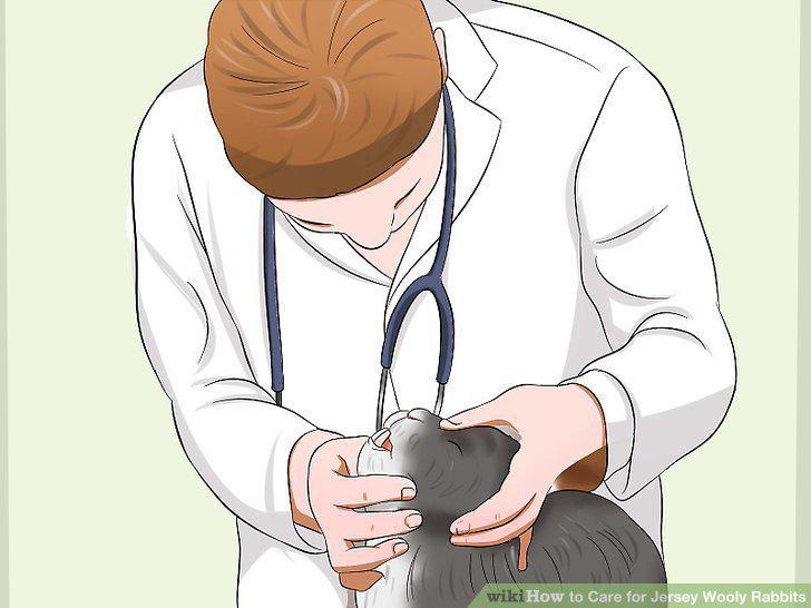 Step 16