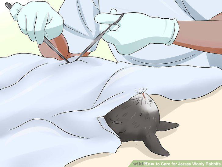 Step 17