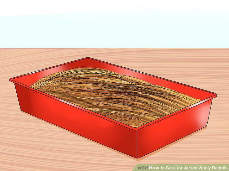 Step 3