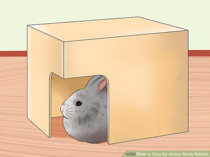 Step 5