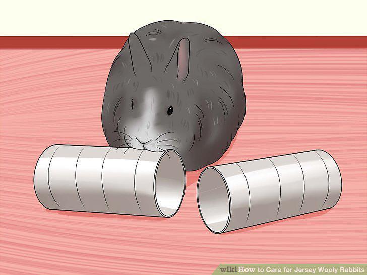 Step 9