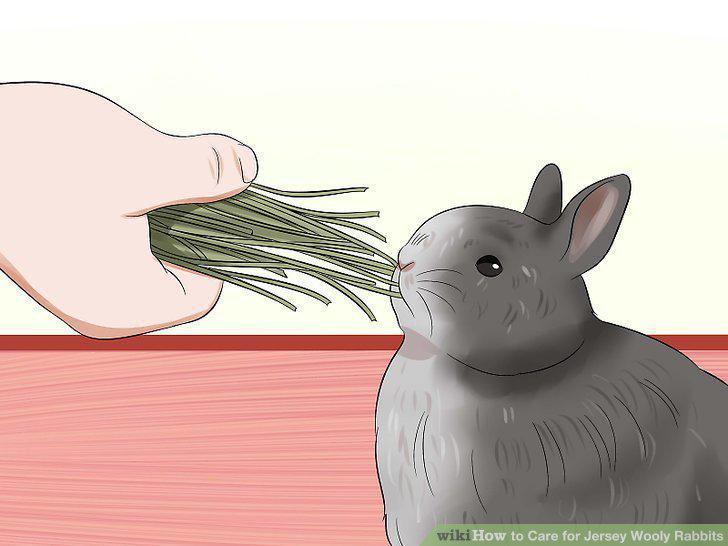 Step 10