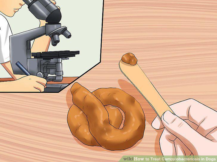Step 11