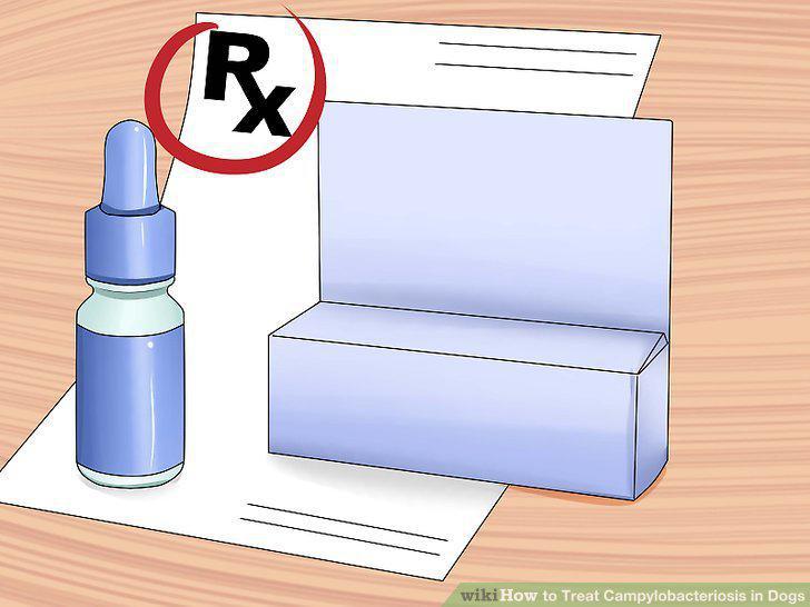 Step 12