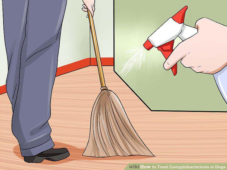 Step 8