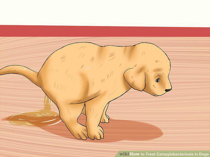 Step 9