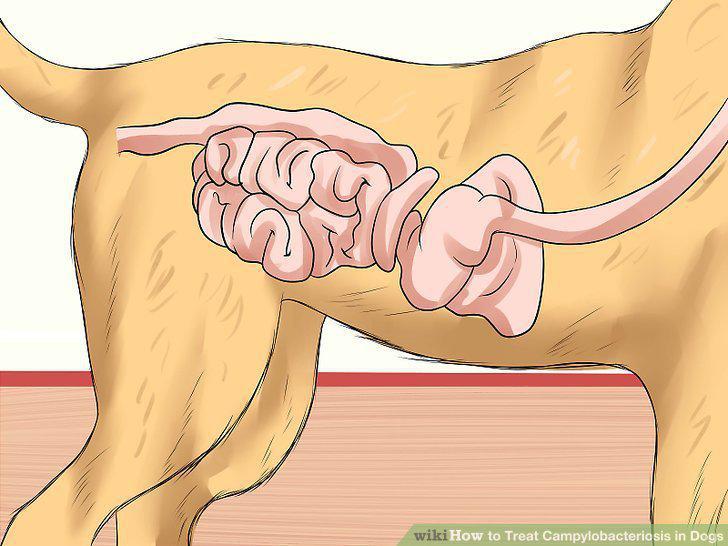 Step 10