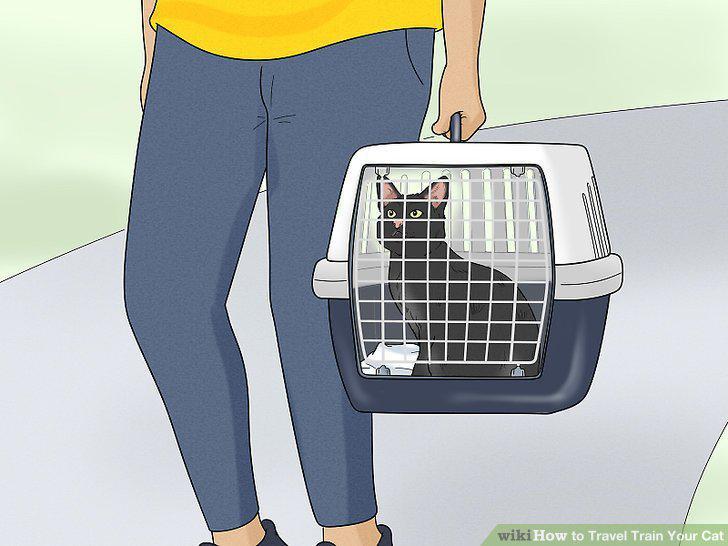 Step 12