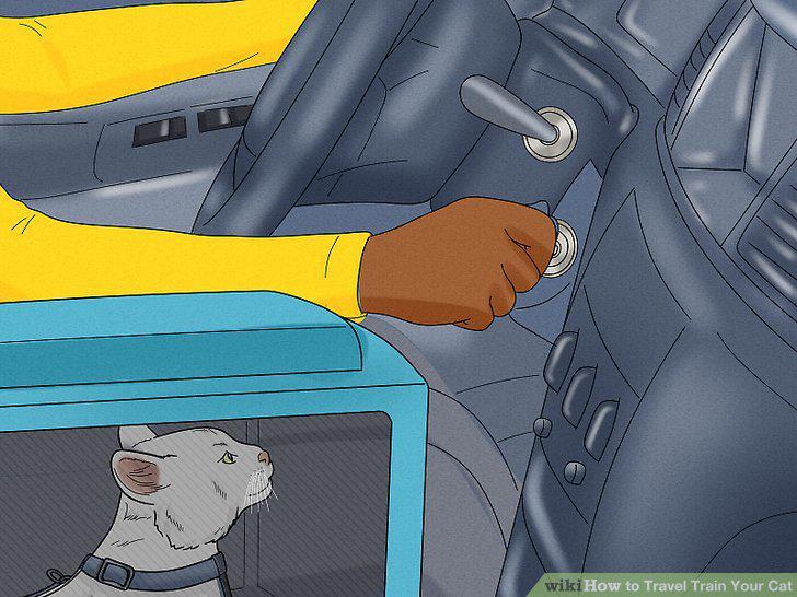 Step 14