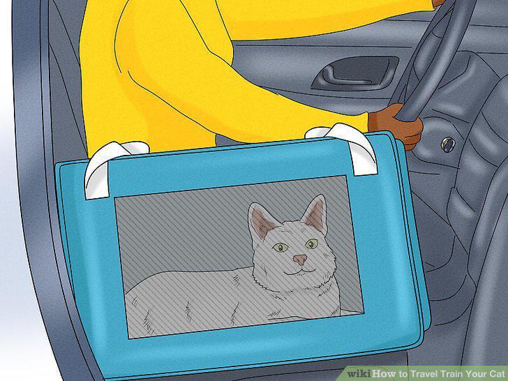 Step 15