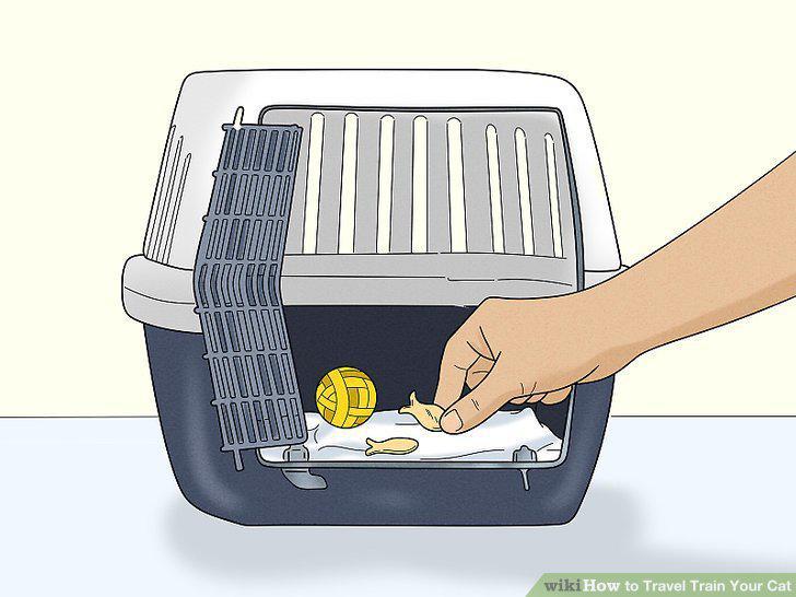 Step 9