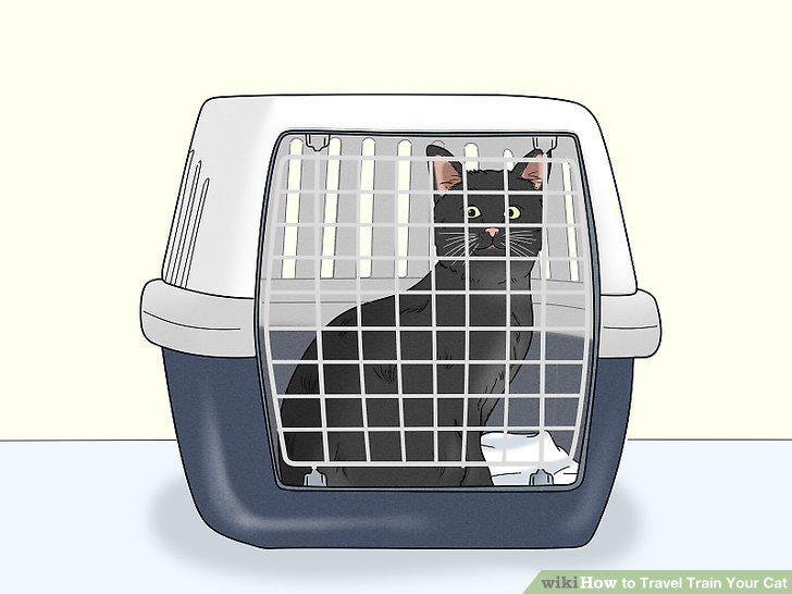 Step 10