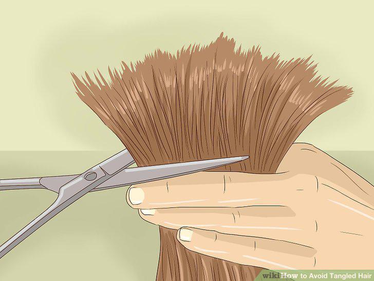 Step 8