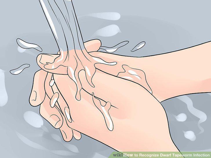 Step 16